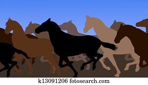 Wild Horses Wild Horses