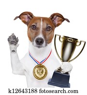 winner dog winner dog