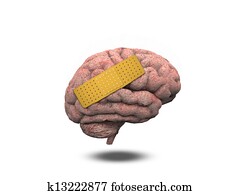 Wounded Brain Wounded Brain