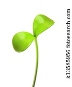young green sprout isolated on white background young green sprout isolated on white background
