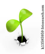 young green sprout young green sprout