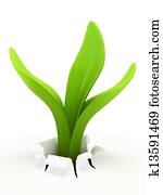Young sprout isolated on white background Young sprout isolated on white background