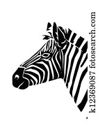 zebra zebra