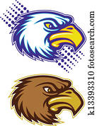 águia, e, falcão, cabeça