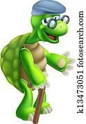 älter, schildkröte, karikatur
