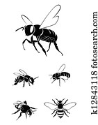 דבורה, אוסף, קבע