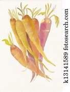 העבר, צבע, וואטארכולור, של, a, צרור של גזרים