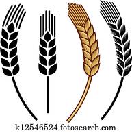 חיטה, אוזן, איקון, קבע