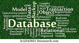 מאגר נתונים