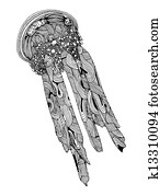 מדוזה, דוגמה