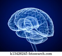 מוח, scan,, רנטגן