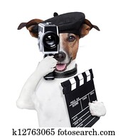 מנהל של סרט, כלב