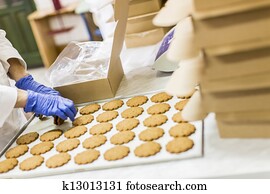 עוגיות, מפעל