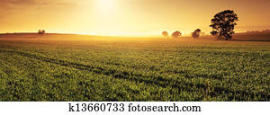 עמק, של, זהב