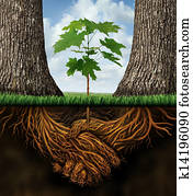 עסק חדש, התפתחות