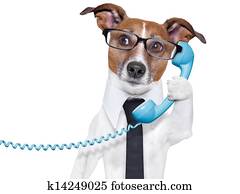 עסק, כלב, על הטלפון