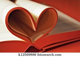 רומנטיות, רומן