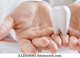 רופא שניים, להחזיק, מולאר