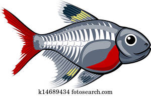 רנטגן, tetra, ציור היתולי, fish