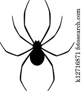 שחור, עכביש