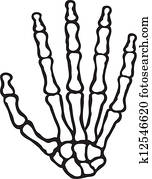 שלד אנושי, העבר