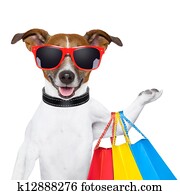 フィットネス, 犬