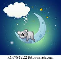 a, קואלה יולדת, מעל, הירח