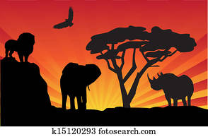 africa africa