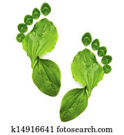 arte, abstratos, primavera, símbolo ecologia, verde, impressão pé