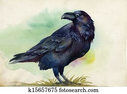 Black raven watercolor painting Black raven watercolor painting