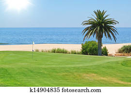 bonito, vista, de, a, campo golfe, para, a, mar, e, palma, árvores., portugal, algarve.