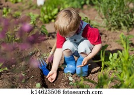 Boy in the vegetable garden Boy in the vegetable garden