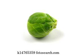 brussel sprout brussel sprout