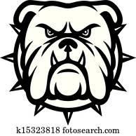 bulldogge, kopf bulldogge, kopf