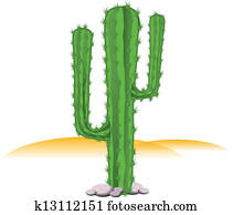 cacto