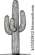 cactus cactus