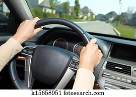 Car driver. Car driver.