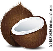Coconut Coconut