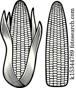 corn corn