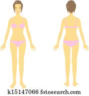 corpo mulher, inteiro, corporal