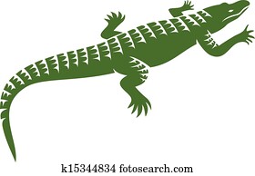 crocodile design crocodile design