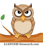 cute owl