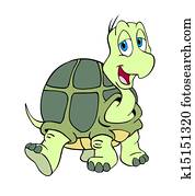 Cute Turtle Cute Turtle