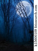 dark night forest agaist full moon dark night forest agaist full moon