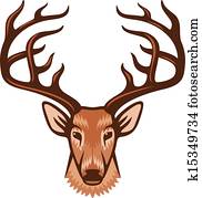 deer head deer head