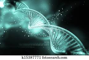 DNA DNA