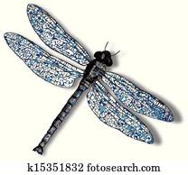 dragonfly against white dragonfly against white