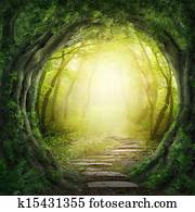 estrada, em, escuro, floresta