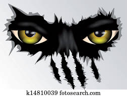 eyes look eyes look