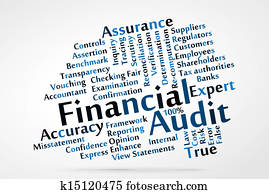 Financial Audit Financial Audit
